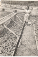 2.  .  ..jpg, 119861 