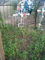 IMG_0821.jpg, 666215 