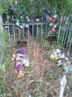 IMG_0890.jpg, 653060 