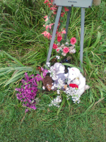 IMG_0113.jpg, 688537 