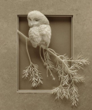  : Skulptura-iz-bumagi-Calvin-Nicholls.-Animalistika-v-skulpture-chetvertaya.jpg