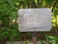 i-9152.jpg, 82764 