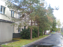IMG_1213.jpg, 644090 