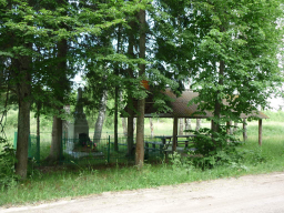  : P1020182_   _.jpg
