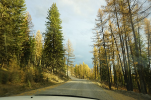  : DSC06599.JPG