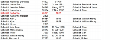  : Schmidt.jpg