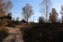  : IMG_4392.JPG