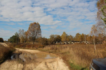  : IMG_4425.JPG