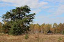  : IMG_4426.JPG