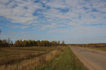  : IMG_4428.JPG