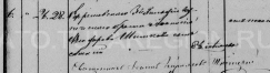  : image8.jpg