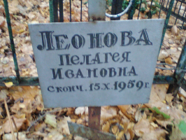 IMG_0591.jpg, 661949 