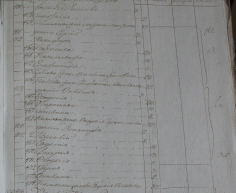 111.jpg, 348195 