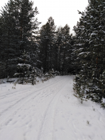  : IMG_20221120_124719.jpg
