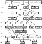  : schema.jpg