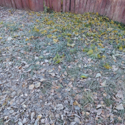  : 20221022_093758.jpg