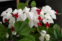  : 188981--29891077-m750x740-u1d242.jpg