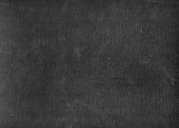 img022.jpg, 1130088 