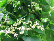  : 28.07.2010 010.jpg