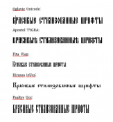  : .jpg