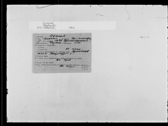 bd2.jpg, 312711 