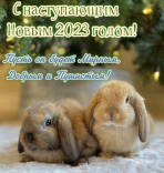  : 3ca12c86e77bf3b3f9025f6462bf5cf8.jpg