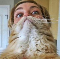  : Ni6NkqGEDXKelgaMQjCpu48S9s7QrtqwOn2z0I4a7uG4sply0xlpifugXMy7k1a7QAiBtztKC9XH5OM8ZqqZqBFR.jpg