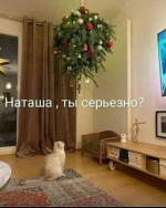 F04441A5-8119-4EF9-989A-540CF98CC8D9.jpeg, 513284 