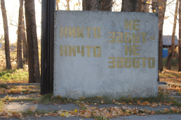 : DSC_0353_ .JPG
