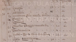  : Opera _2023-01-18_150245_gato.tularegion.ru.png