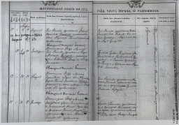  : 181-24.jpg