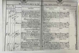  : 184-56.jpg