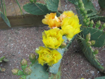  :  2010 141.jpg