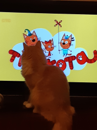  :  3.jpg