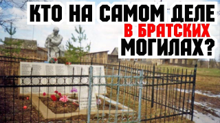  :  .jpg