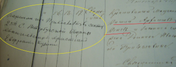  : DSCI1228.jpg