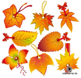  : 1284368403_autuleave.jpg