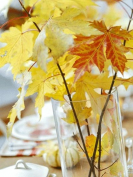  : autumn-flavor-without-flowers2.jpg