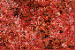  : DSC_0070_resize_resize.JPG
