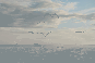  : DSC_0044_resize.JPG