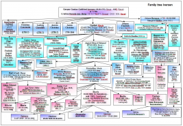 Family tree Iversen 22072019.jpg, 426115 