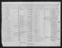 00000295.jpg, 713525 