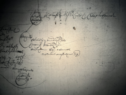 6C05A9DE-A018-4695-A989-F04572FBB670.jpeg, 1910461 