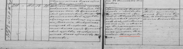 1849 zwir rozalia.png, 3000897 