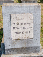 IMG_4489-59.jpg, 178375 