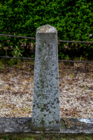 IMG_7310-10.jpg, 297157 