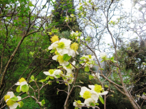  : 01.05.2011 060.jpg