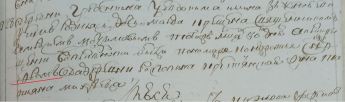  : 205-1781-.jpg