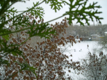  : PICT0013.JPG