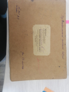 IMG-20230309-WA0001.jpg, 81826 